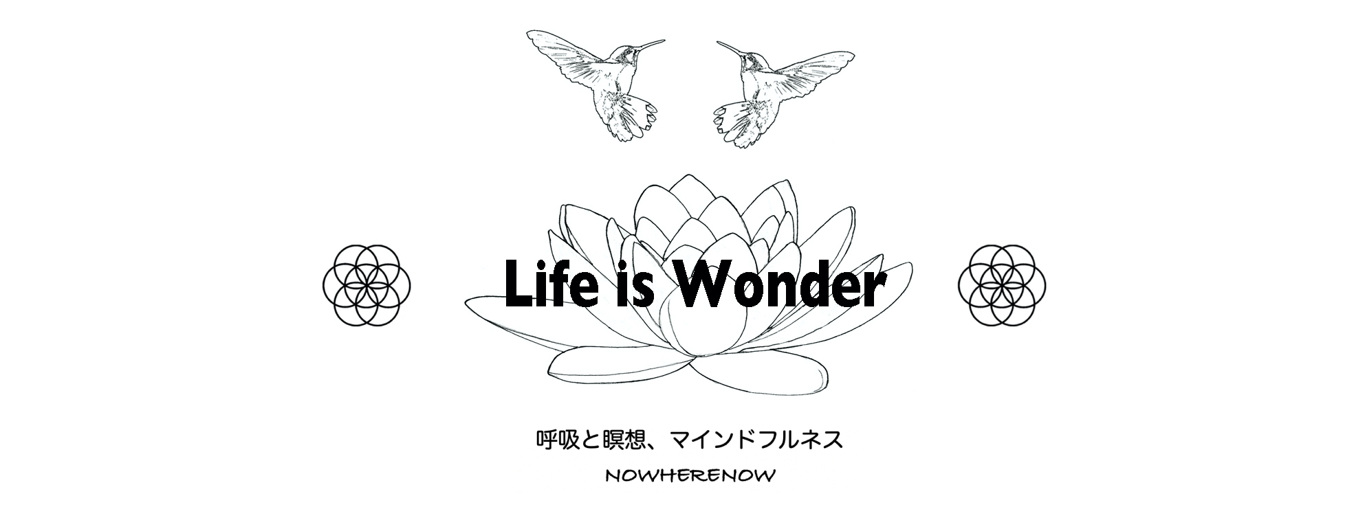 Life is Wonder